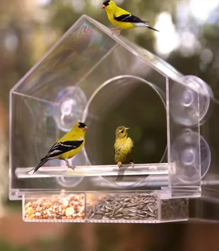 Acrylic clear seed feeder with suction cup mount for windows