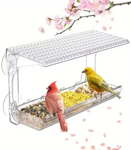 Clear window mounted bird feeder with strong suction cups