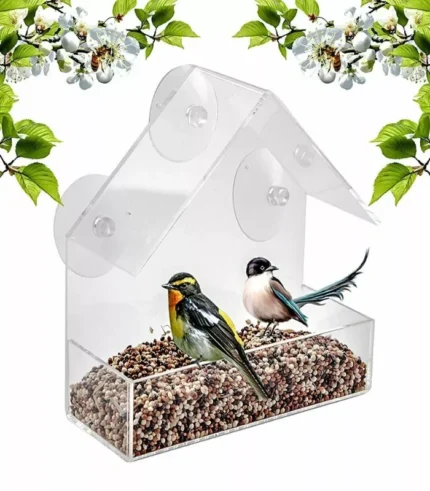Clear Perspex window-mounted bird feeder for seeds and nuts, garden feeding station.