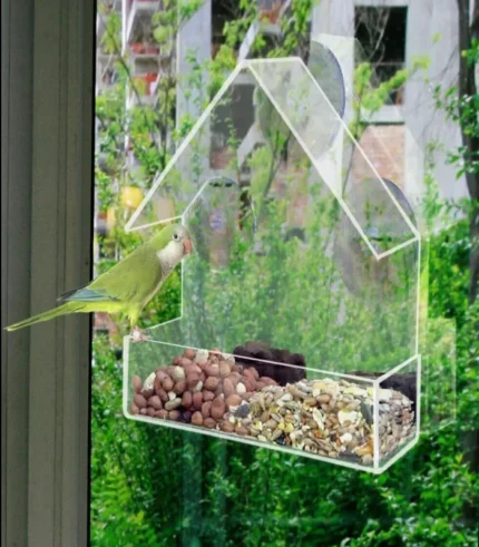Clear Perspex window-mounted bird feeder for seeds and nuts, garden feeding station.