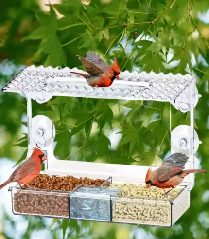 A transparent, house-shaped bird feeder tray attached to a window with suction cups, containing birdseed. The feeder is waterproof and designed for outdoor use. 1