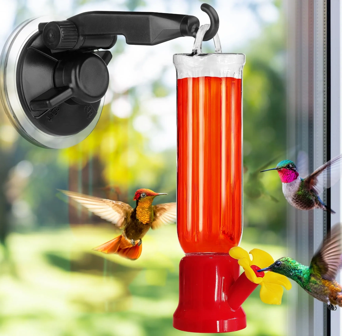 Gray Bunny window hummingbird feeder with strong suction cups for close-up birdwatching.
