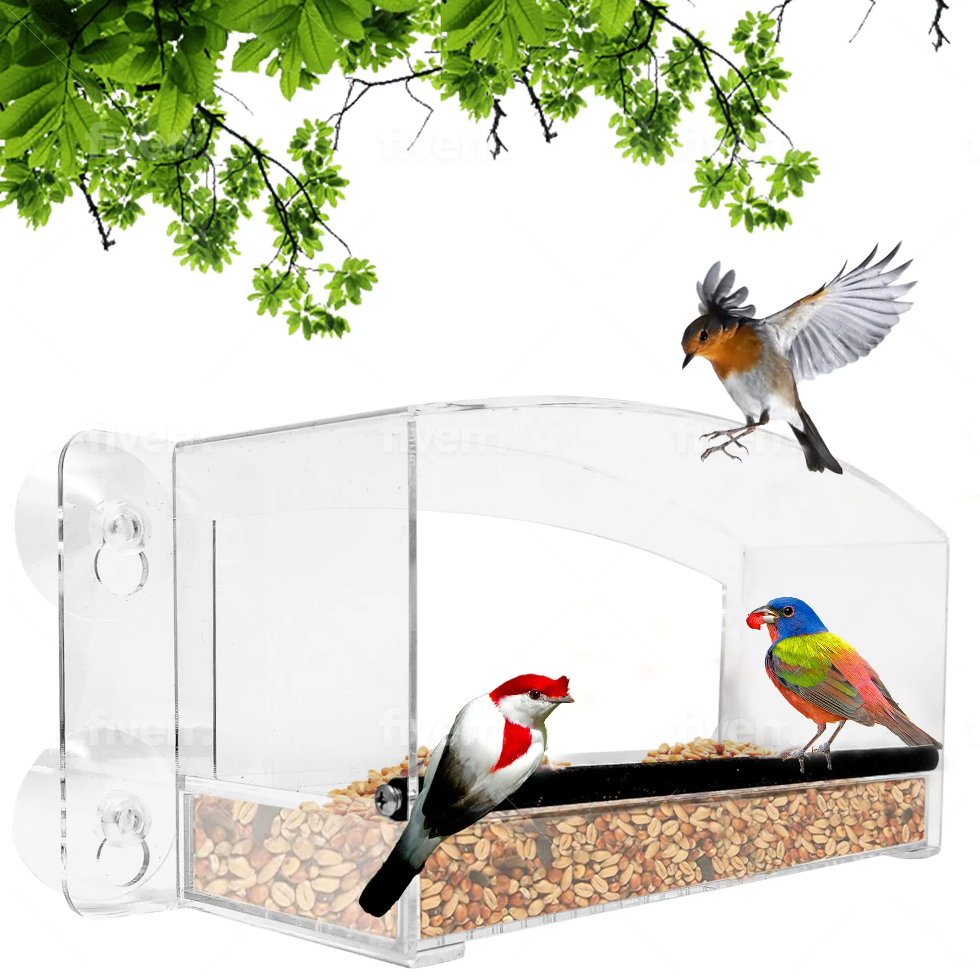 Nature Gear Crystal View Window Bird Feeder