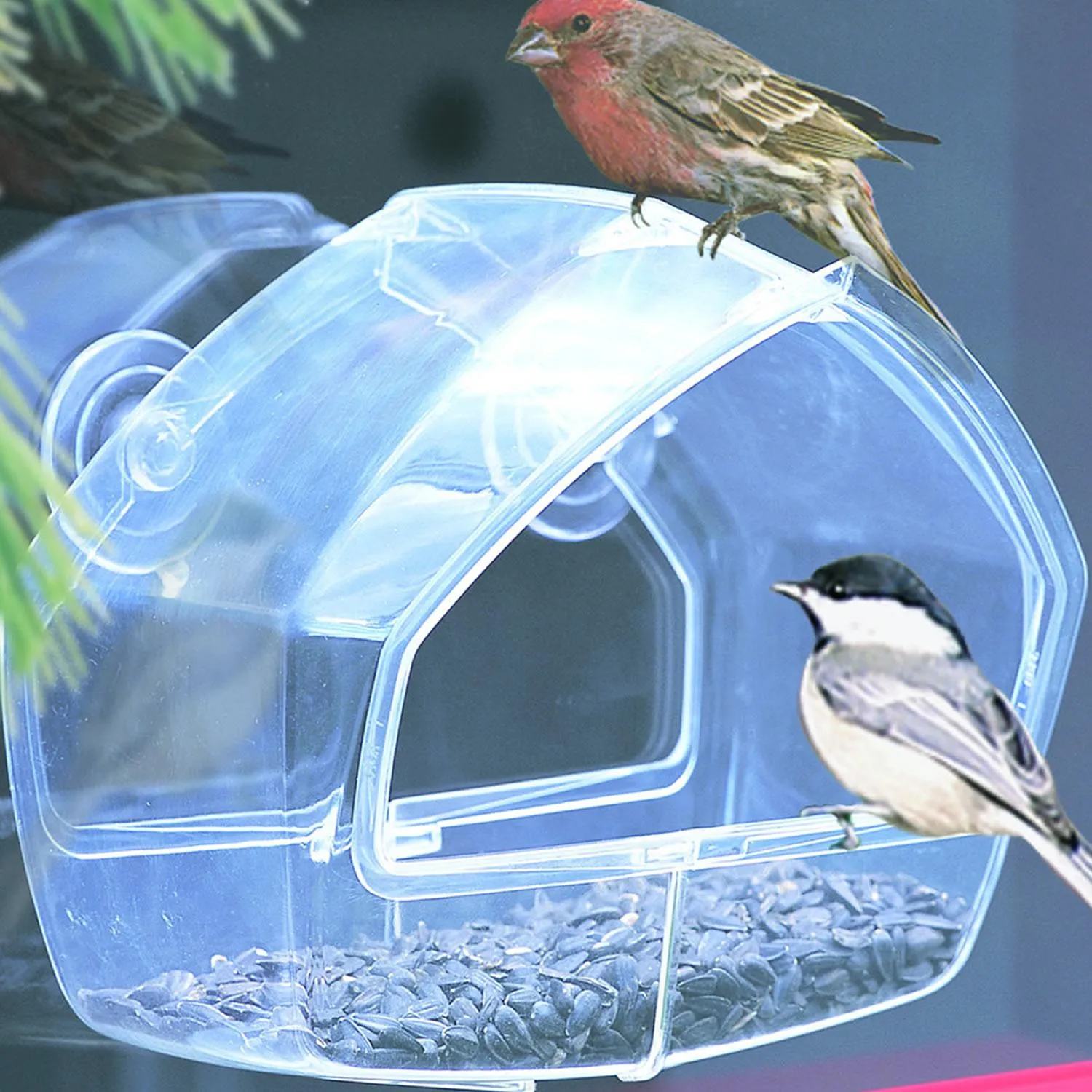 Perky-Pet 348 Window Wild Bird Feeder _ Amazon.ca_ Patio, Lawn & Garden